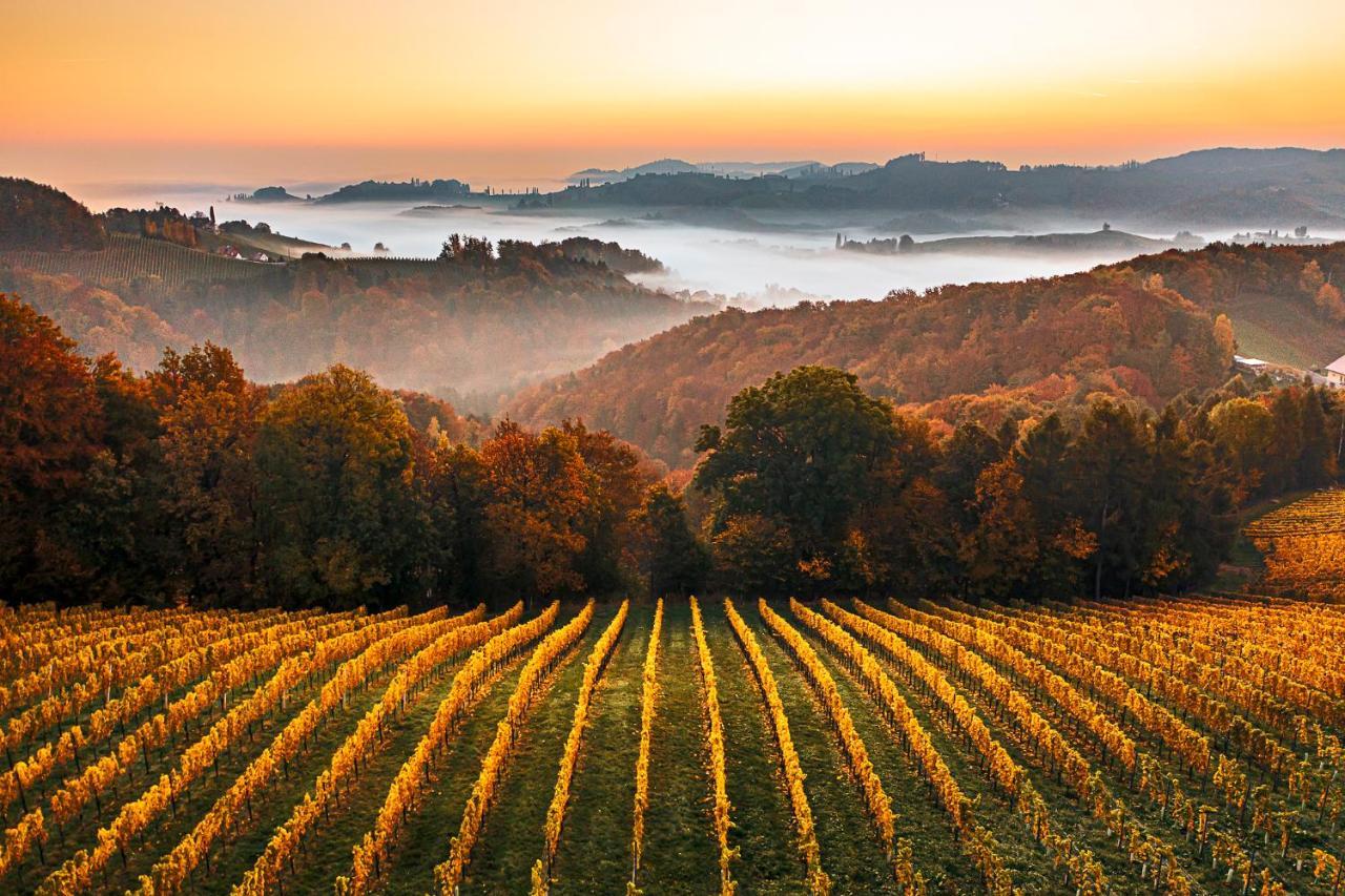 Weingut-Wohlfuehlzimmer Adam-Lieleg Leutschach Extérieur photo